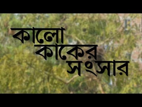 কালো কাকের সংসার