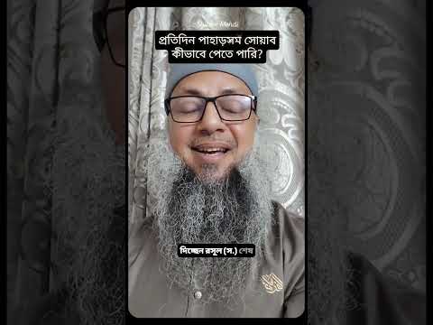 প্রতিদিন কি একটি বড় পাহাড়ের সমান সোয়াব অর্জন করা সম্ভব? কীভাবে রসূল ﷺ এর সাফায়াত পাওয়া সম্ভব?