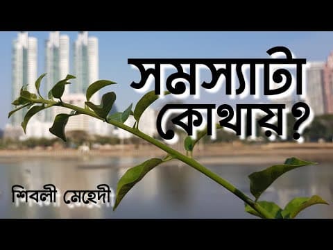 সমস্যাটা কোথায়?